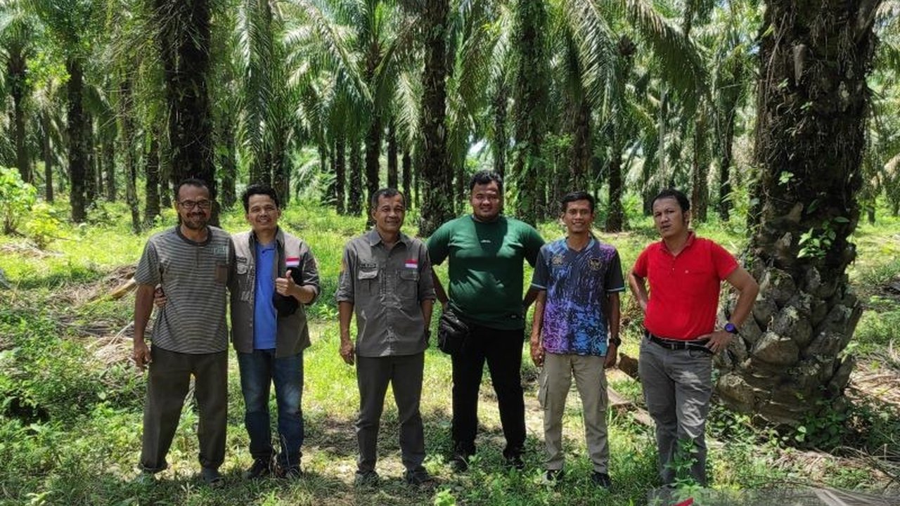 Dinas Pertanian Mukomuko memastikan lahan peremajaan sawit seluas 906 hektare bebas dari kawasan hutan, sesuai syarat BPDPKS dan untuk menghindari masalah hukum.