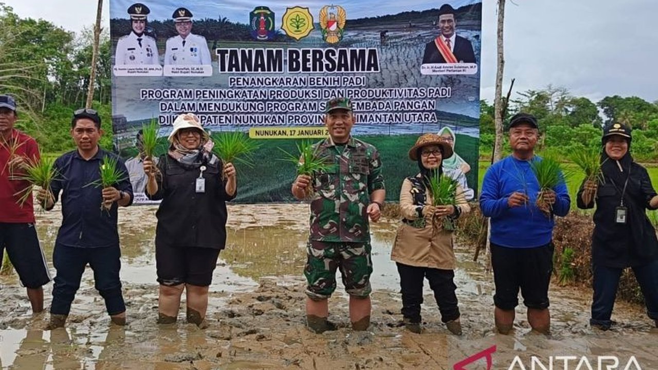 Kementan, TNI, dan petani Nunukan berkolaborasi menanam padi untuk meningkatkan produktivitas pertanian dan mendukung swasembada pangan nasional, mengatasi kendala akses teknologi dan pelatihan bagi petani.