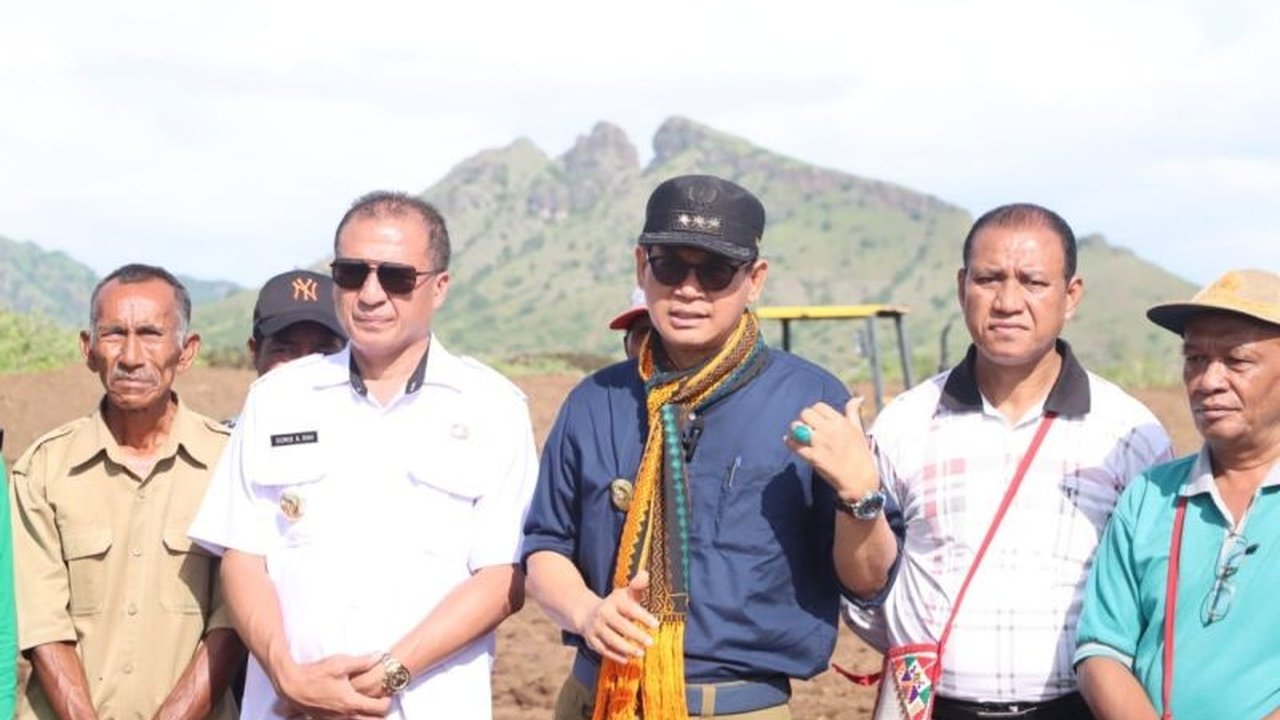 Pj Gubernur NTT, Andriko Noto Susanto, melihat potensi Kabupaten Nagekeo, Flores, untuk berkontribusi besar pada swasembada pangan nasional berkat lahan subur seluas 6.000 hektare yang mampu menghasilkan tujuh ton padi per hektare.
