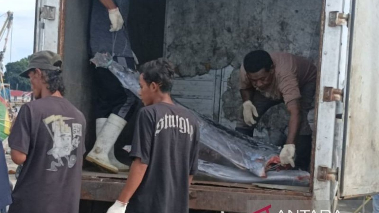 Pemkab Biak Numfor mengalokasikan Rp186,8 miliar dana desa tahun 2025 untuk enam program prioritas: penanggulangan kemiskinan ekstrem, kesehatan dasar dan pencegahan stunting, adaptasi perubahan iklim, ketahanan pangan, pengembangan ekonomi lokal, dan tra