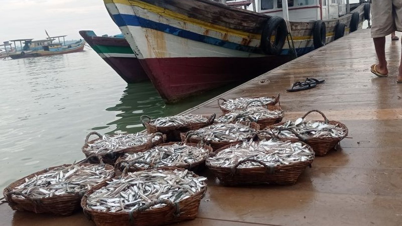 Produksi Ikan Lebak 2024 Capai 6,8 Ton, PAD Naik Rp1,7 Miliar