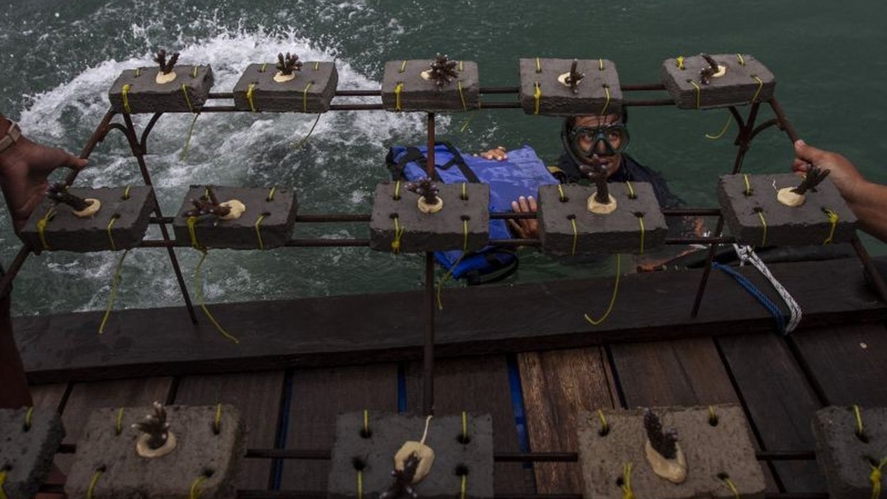 Pemerintah Indonesia dan Amerika Serikat telah menyelesaikan proses alih utang senilai Rp573 miliar untuk melindungi terumbu karang di Indonesia, dana tersebut akan difokuskan pada kawasan Bentang Laut Kepala Burung dan Laut Sunda Banda.