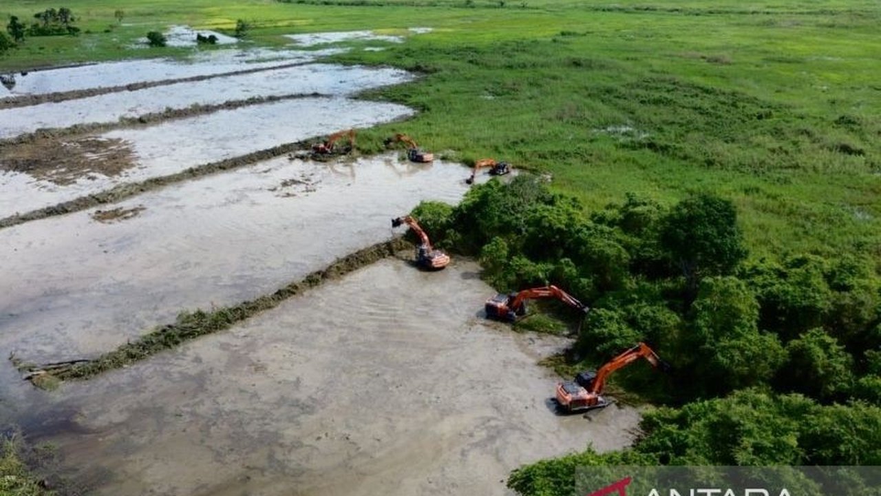 Pemerintah Kabupaten Hulu Sungai Tengah (HST) bersama TNI membuka akses jalan untuk program Cetak Sawah Rakyat (CSR) seluas 23.186 hektare di Desa Perumahan, guna mencapai swasembada pangan nasional.