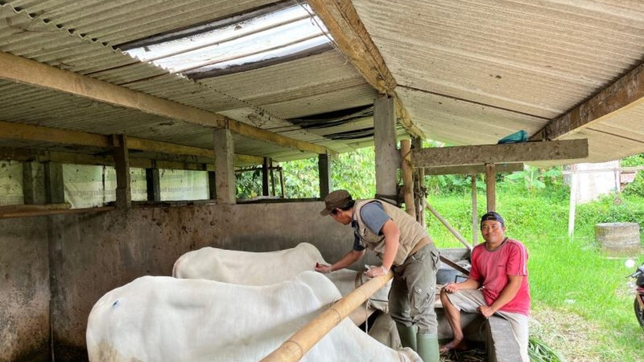 Pemerintah Kulon Progo menerima 1.200 dosis vaksin PMK tahap pertama dari Kementan untuk mencegah penyebaran penyakit mulut dan kuku pada 5.000 ternak, dengan total alokasi 5.000 dosis secara bertahap.