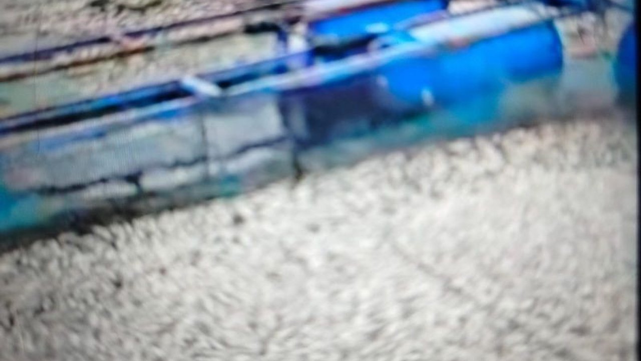 Angin kencang di Danau Maninjau, Sumatera Barat, mengakibatkan 75 ton ikan mati, dengan tambahan 50 ton ikan nila di Nagari Tanjung Sani setelah sebelumnya 25 ton ikan mati di Nagari Bayua.