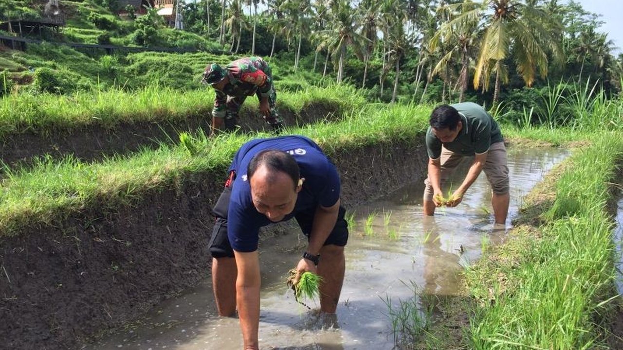 Pemkab Gianyar giat promosikan pertanian organik, khususnya padi, dalam rangka Hari Desa untuk mendukung ketahanan pangan dan pembangunan desa berkelanjutan.