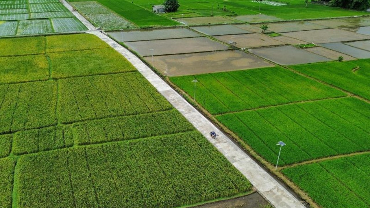 Urgensi swasembada pangan bagi ketahanan nasional Indonesia dibahas, menekankan pentingnya peningkatan produksi pangan dalam menghadapi krisis dan mencapai kedaulatan pangan.