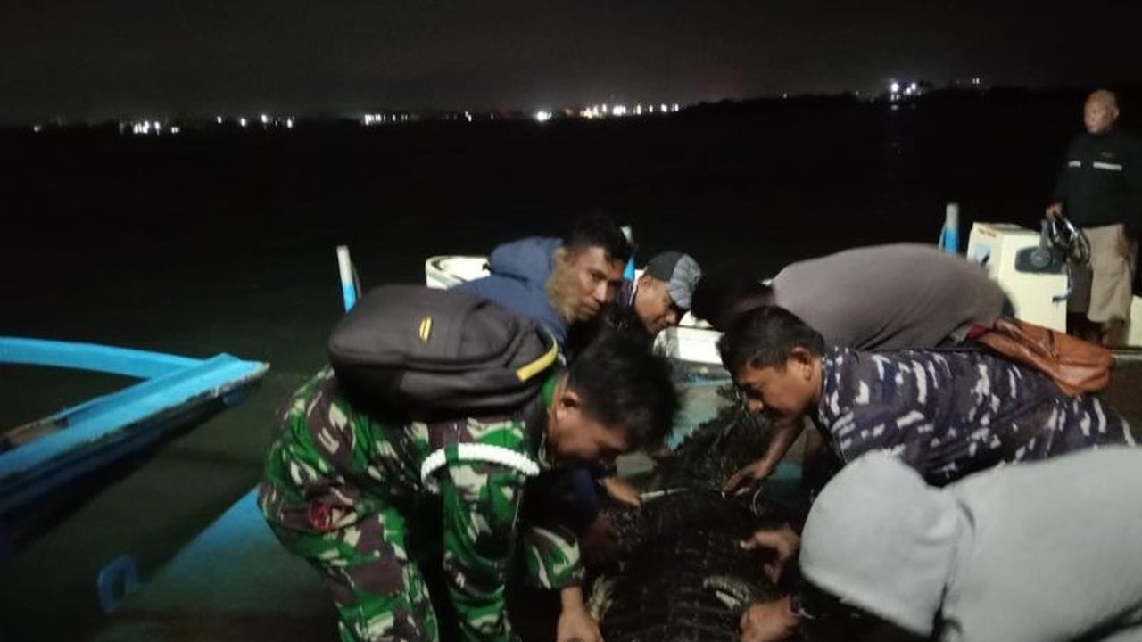 TNI AL Lantamal IV Batam berhasil mengevakuasi 22 buaya yang lepas dari penangkaran di Pulau Bulan akibat banjir, melalui operasi terpadu yang melibatkan masyarakat dan instansi terkait.