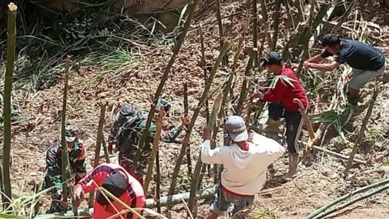 Di Desa Malimbong, Mamasa, TNI dan warga bergotong royong menanam bambu untuk mencegah longsor, khususnya selama musim hujan, sebagai bentuk sinergi dan kepedulian.