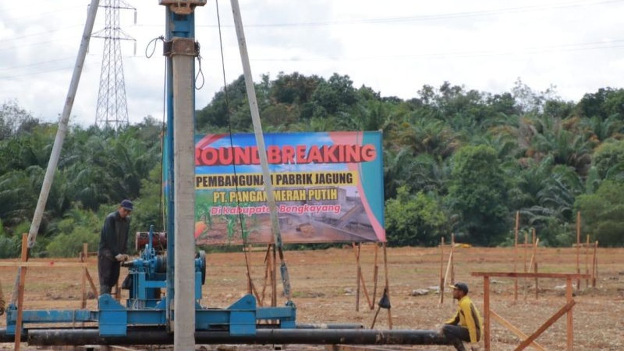 Pabrik Jagung Kalbar: Solusi Petani dan Pendorong Ekonomi