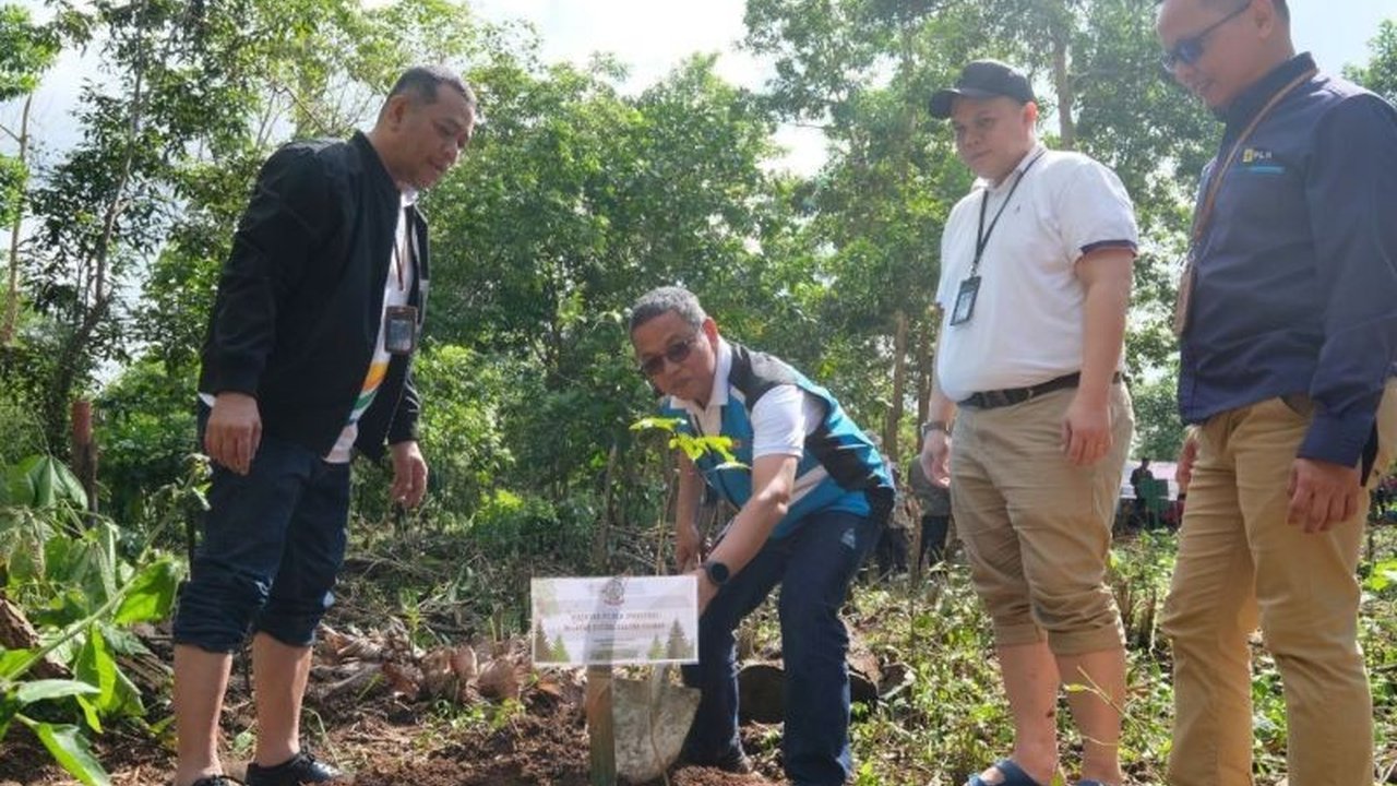 PT PLN UIP Sulawesi menanam 9.488 bibit pohon di Sulawesi Selatan dan Sulawesi Utara pada tahun 2025 untuk mendukung program penanaman pohon serentak nasional, pemulihan lahan kritis, dan ketahanan pangan.