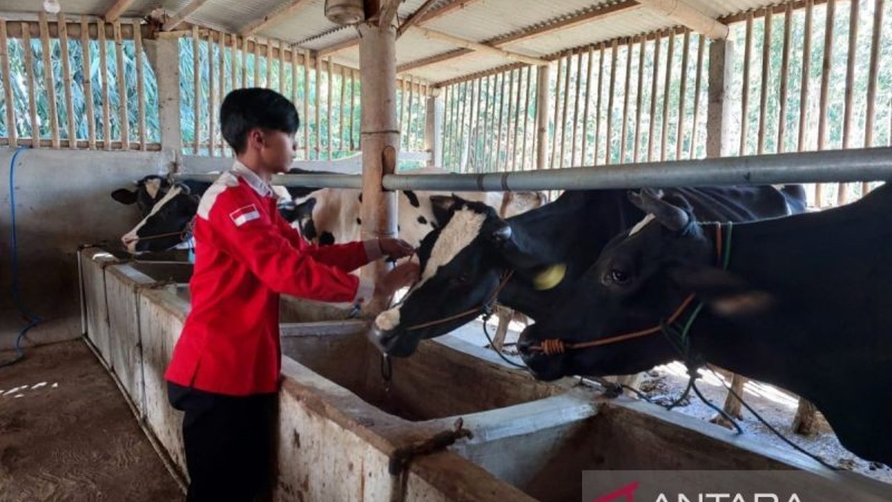 Boyolali Libatkan Peternak Kendalikan Wabah PMK