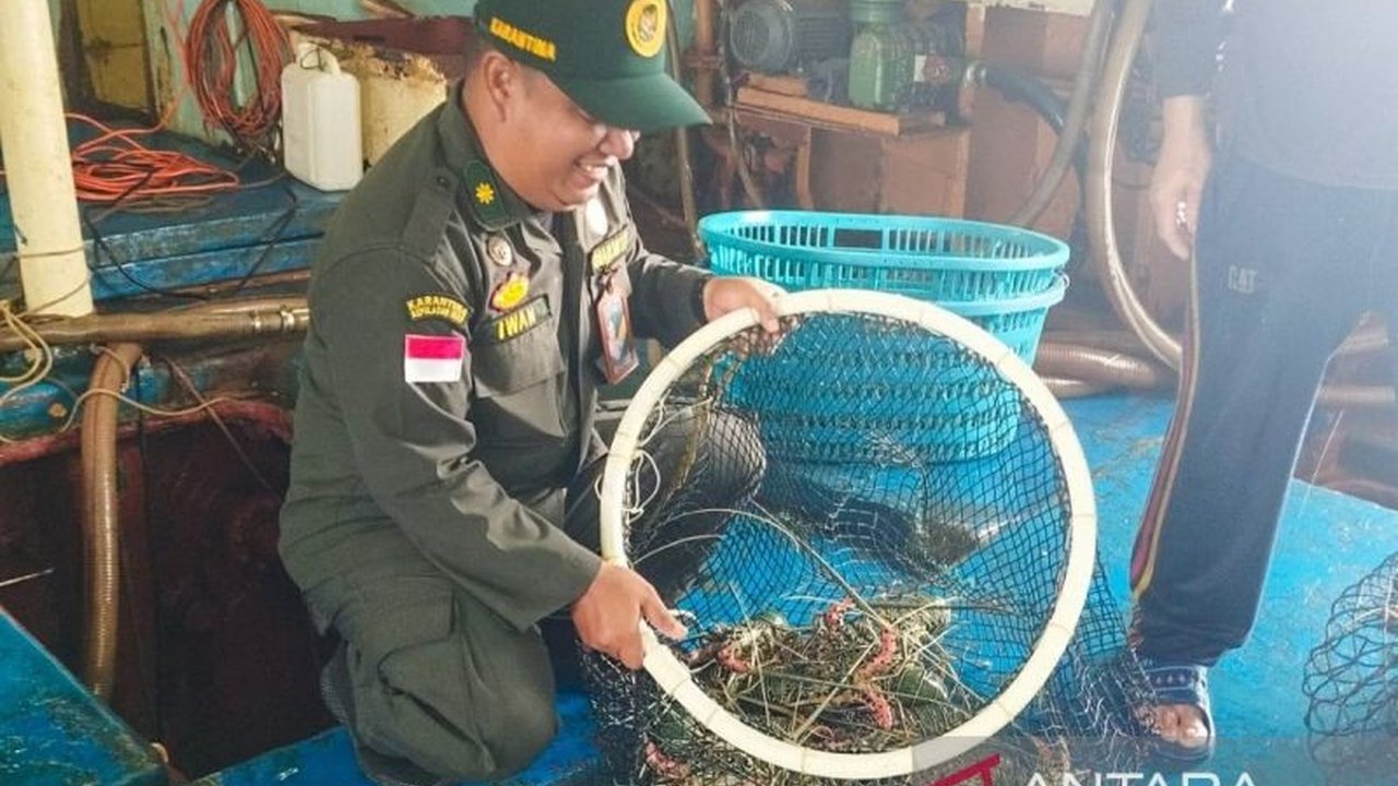 Balai Karantina Hewan Ikan dan Tumbuhan (BKHIT) Kepri telah mensertifikasi 6.688 komoditas perikanan dari Natuna, Kepri, senilai Rp708 juta, untuk ekspor ke Hong Kong, memastikan keamanan dan kesehatan produk.