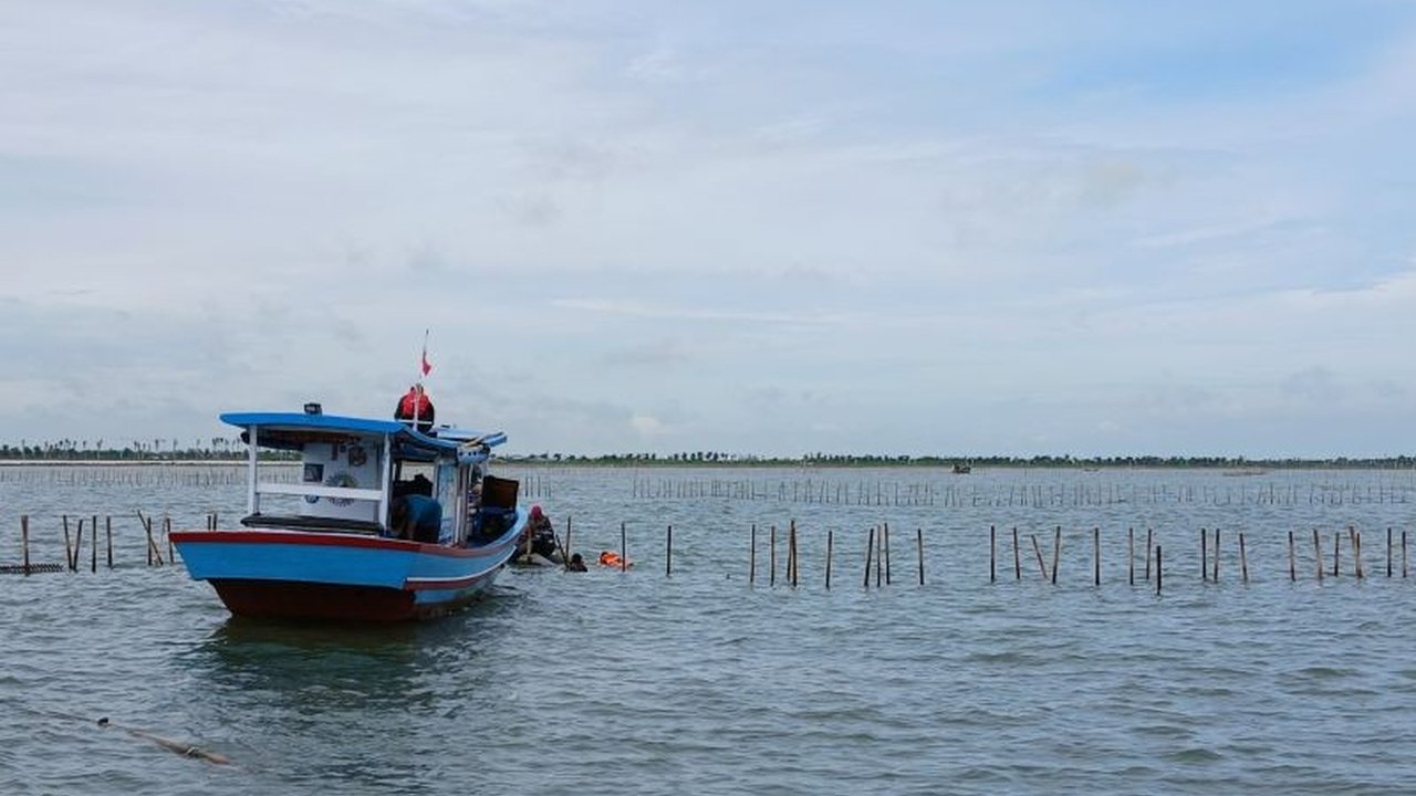 Polemik Pagar Laut 30 KM di Tangerang: Kades Bantah Perintahkan Pemasangan