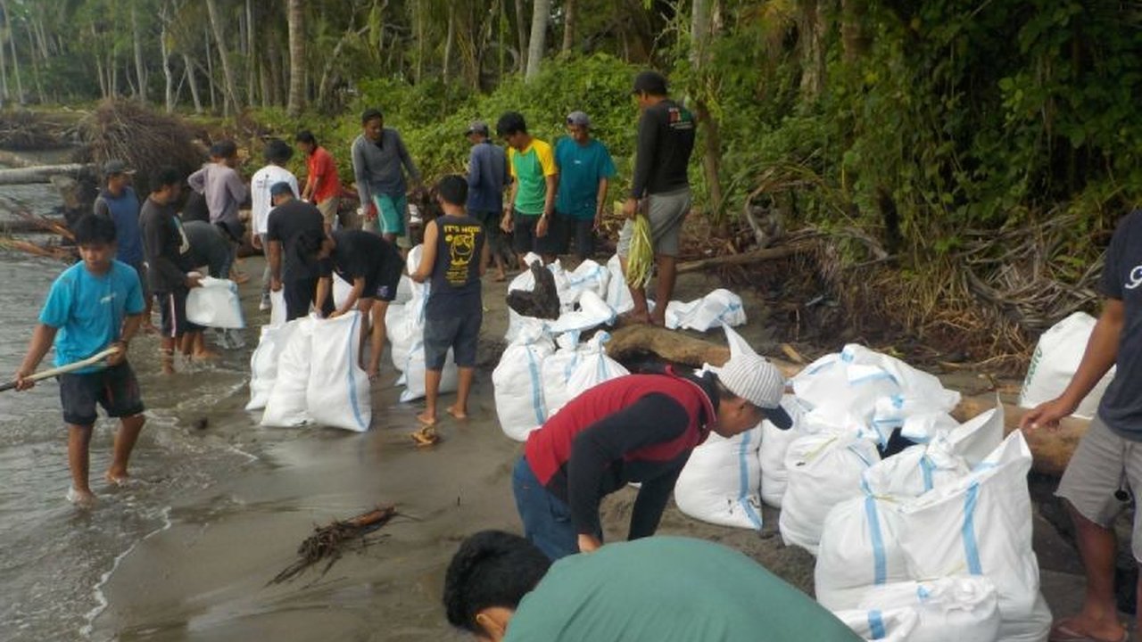 Warga Polewali Mandar Bangun Tanggul Darurat Cegah Abrasi Pantai
