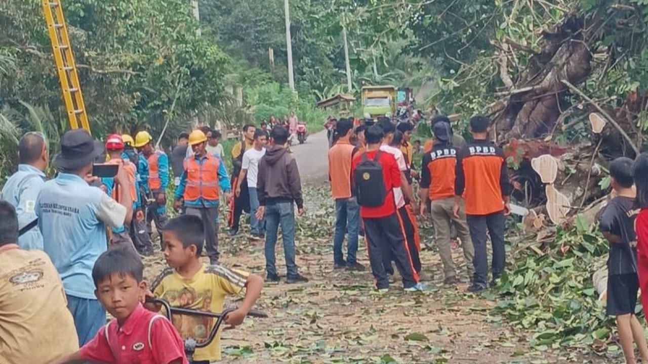 Curah hujan tinggi di OKU, Sumatera Selatan menyebabkan pohon tumbang menutup akses jalan di Desa Tanjung Baru pada Minggu (19/1) sore; BPBD OKU langsung bertindak cepat mengevakuasi pohon dan menormalisasi lalu lintas.