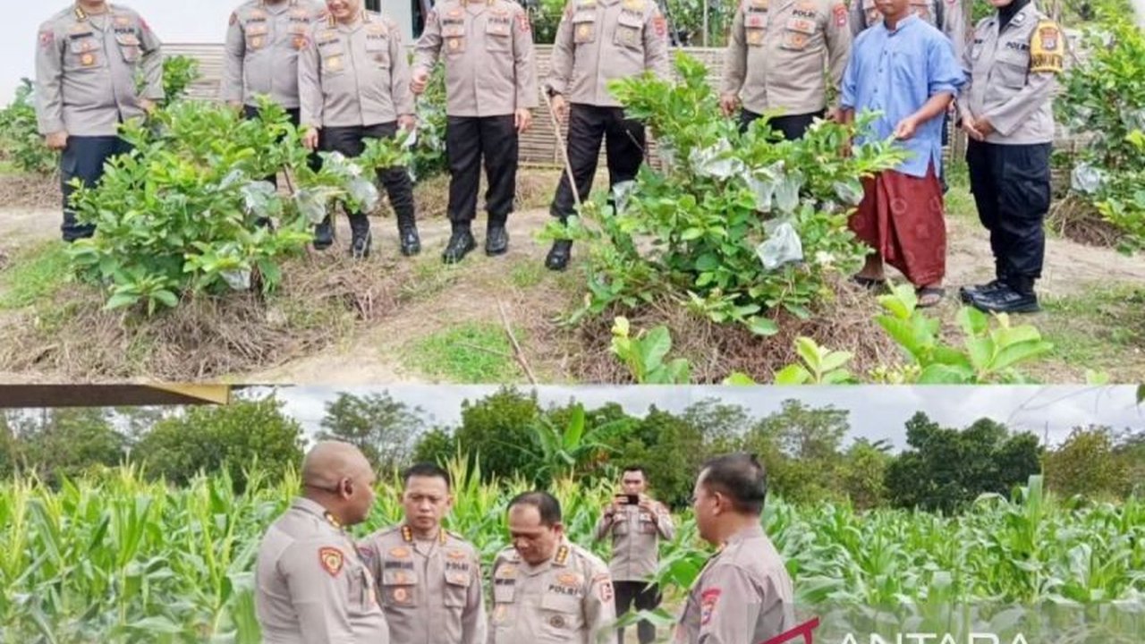 Tim Itwasum Polri mengunjungi kelompok tani di Kabupaten Banjar, Kalimantan Selatan, memberikan motivasi dan apresiasi atas kontribusi mereka dalam mendukung ketahanan pangan nasional, sekaligus mengidentifikasi kendala yang dihadapi.