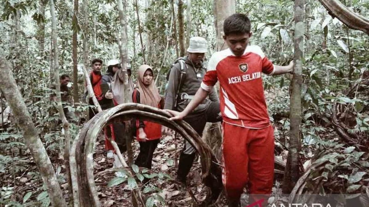 Forum Konservasi Leuser (FKL) memberikan edukasi konservasi alam kepada pelajar Aceh Selatan di Kawasan Ekosistem Leuser,  mengajarkan pentingnya pelestarian lingkungan sejak dini dan memberikan pengalaman langsung menjelajahi hutan serta mempelajari peng