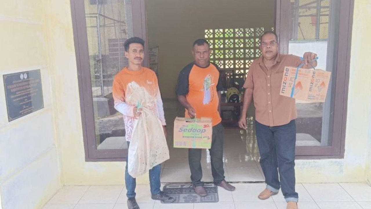 BKSDA Maluku mengamankan 10 satwa liar dilindungi dari ABK sebuah kapal di Dobo, Kepulauan Aru; ABK mengaku membeli satwa dari warga dan tak tahu satwa tersebut dilindungi Undang-Undang.