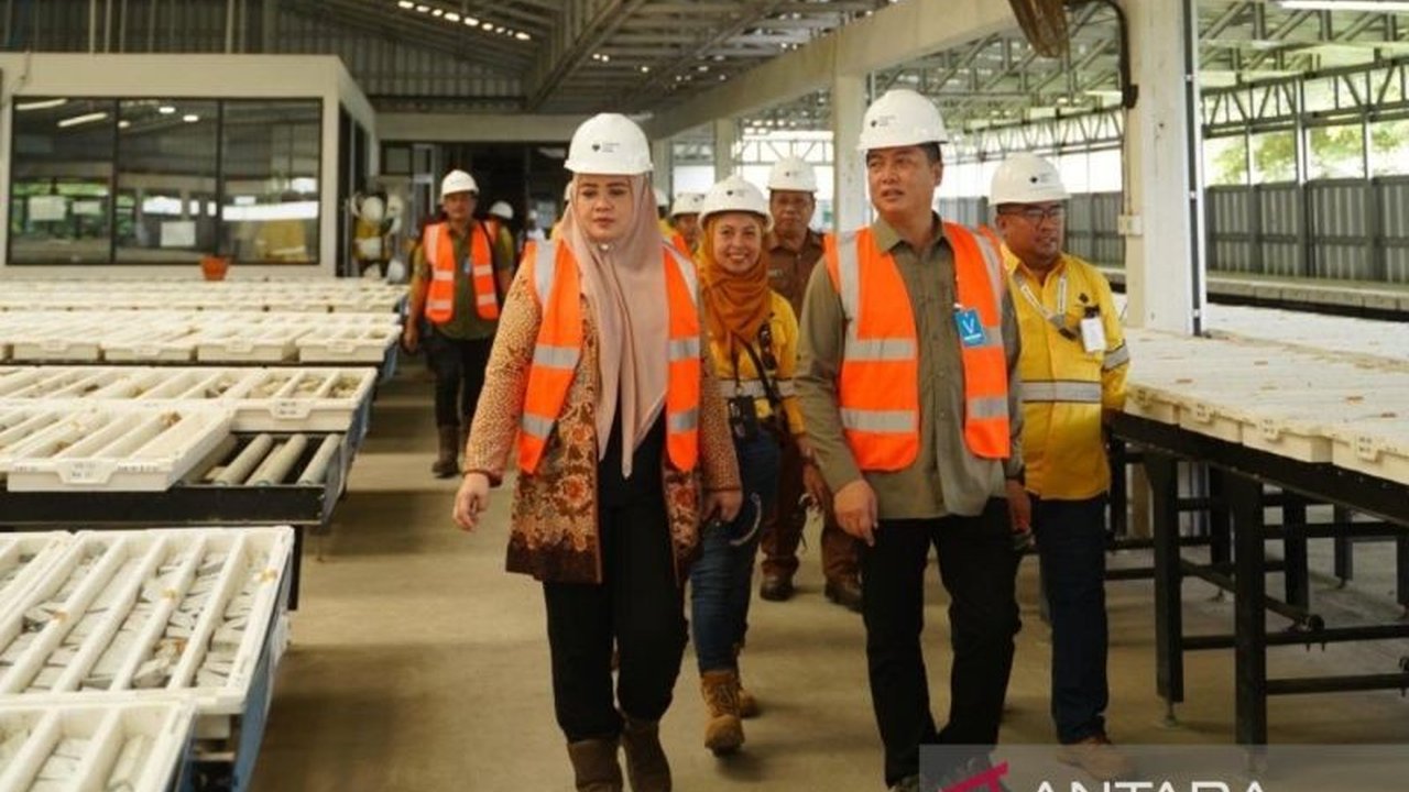 Gubernur NTB terpilih, Lalu Muhamad Iqbal, menekankan pentingnya PT Sumbawa Timur Mining (STM) memberikan dampak positif bagi masyarakat dan lingkungan NTB, tak hanya fokus pada keuntungan ekonomi semata.