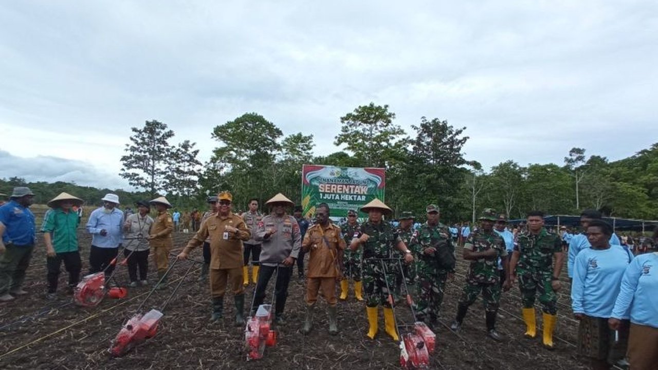 Polda Papua dan Pemkab Jayapura berkolaborasi menanam jagung di lahan seluas 100 hektar di Kampung Aib, Jayapura, guna mendukung program swasembada pangan nasional dan mengatasi tantangan keterbatasan SDM di sektor pertanian Papua.