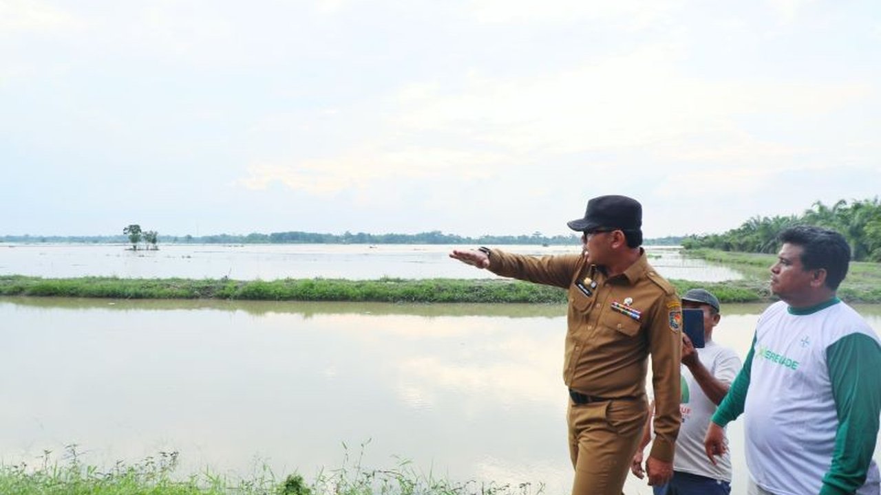 Wakil Menteri Dalam Negeri meminta pemerintah daerah untuk menormalisasi saluran irigasi guna mendukung program swasembada pangan nasional, termasuk pemantauan dan perawatan saluran irigasi agar petani bisa panen tiga kali setahun.