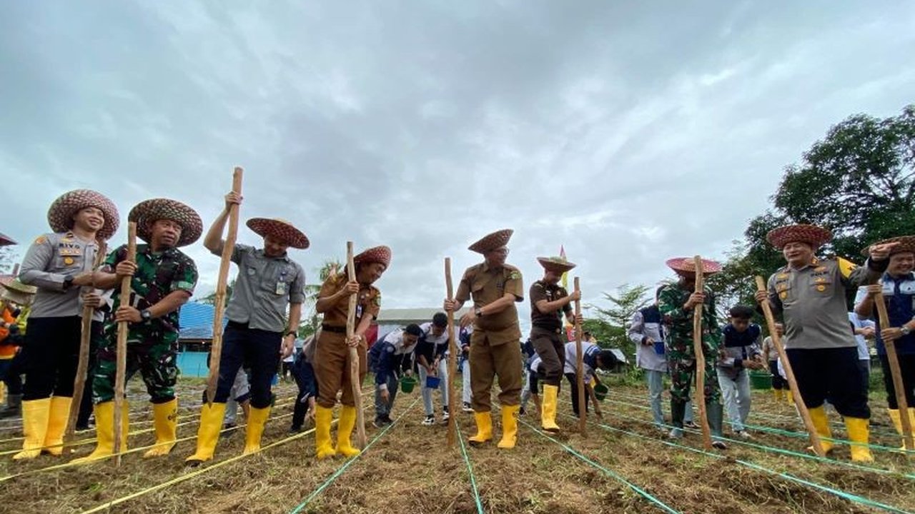 Polres Tapin, Kalimantan Selatan, berkolaborasi dengan Kementerian Pertanian menanam jagung untuk mendukung swasembada pangan nasional,  menargetkan perluasan lahan tanam dan peningkatan ekonomi masyarakat.