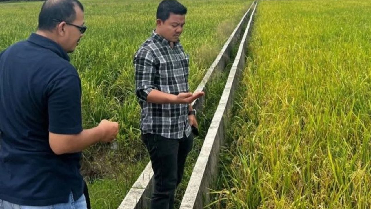 Bulog Riau Kepri siap membeli gabah dan beras petani dengan harga pembelian pemerintah (HPP) terbaru mulai 15 Januari 2025,  menyesuaikan kualitas gabah dan beras yang diserahkan.