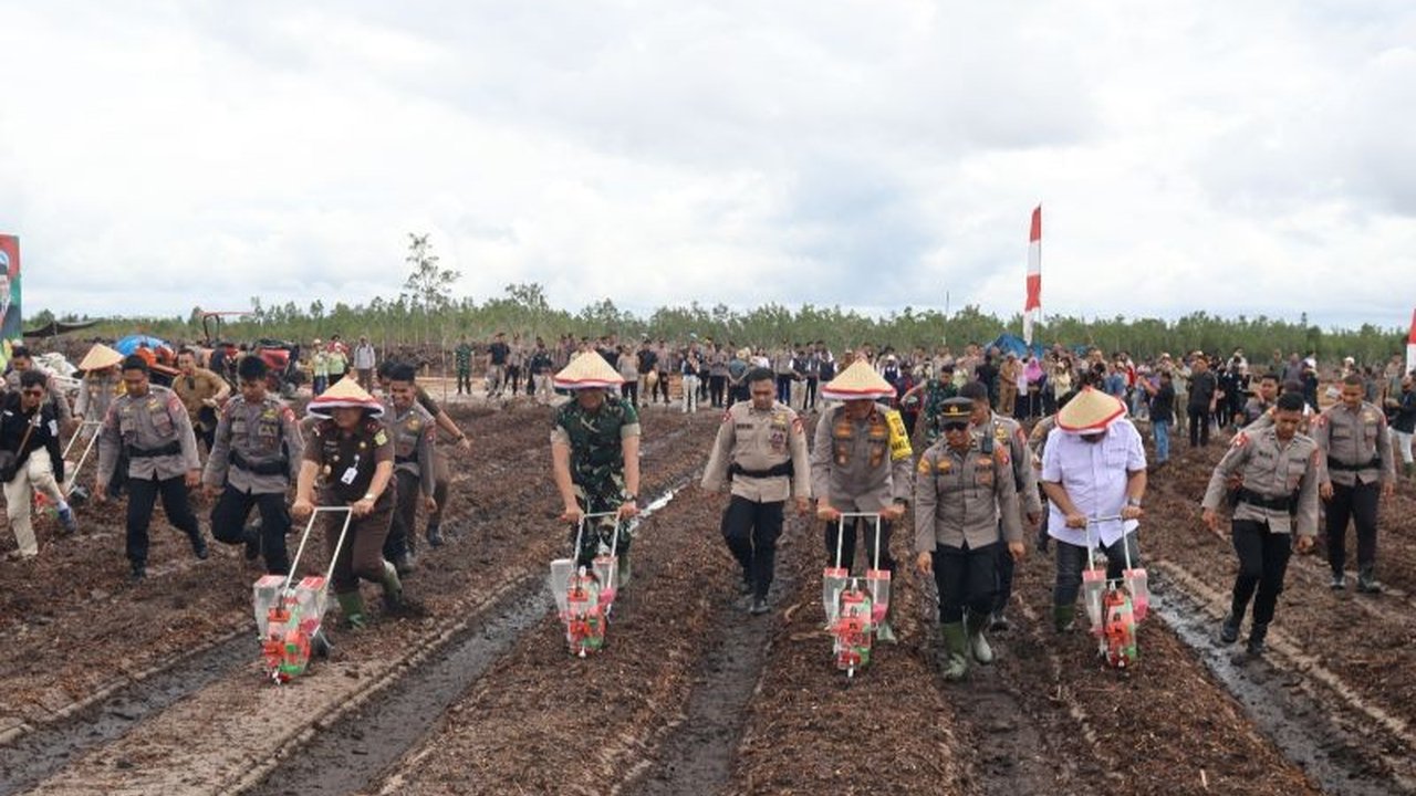 Wakapolda Kalteng memimpin penanaman jagung seluas 1.200 hektare di Palangka Raya sebagai dukungan terhadap program ketahanan pangan nasional dan program Astacita Presiden Prabowo Subianto.