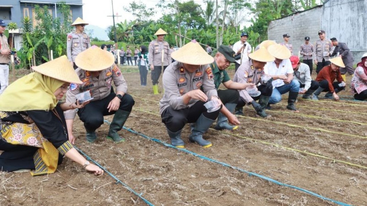 Polres Wonosobo bersama Forkopimda menanam jagung di 13.850 meter persegi lahan di 15 kecamatan untuk mendukung ketahanan pangan nasional dan pengendalian inflasi, selaras dengan program pemerintah.