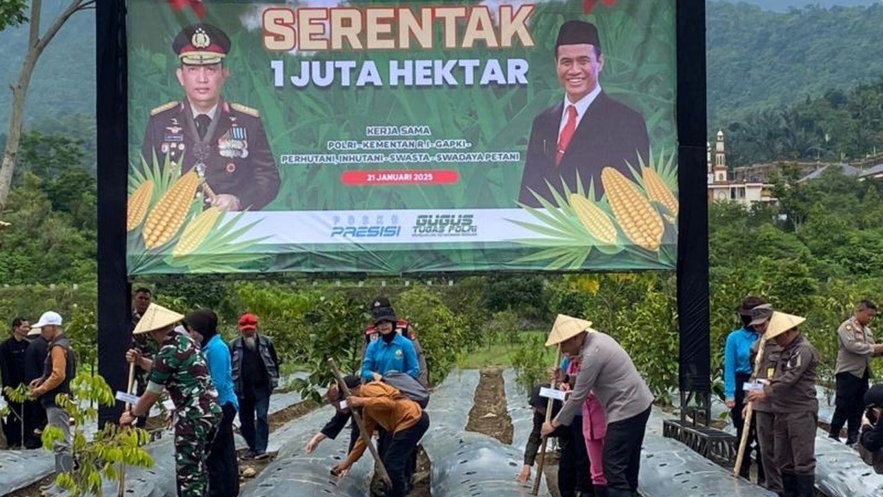 Pemerintah Kabupaten Tasikmalaya dan Polres Tasikmalaya berkolaborasi memanfaatkan lahan tidak produktif seluas 34 hektare untuk menanam jagung guna mendukung ketahanan pangan nasional, dengan target produksi 8 ton per hektare dan kerja sama pemasaran ber