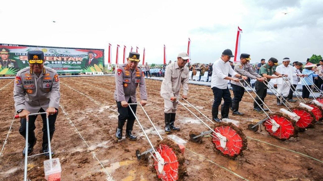 Polri dan Kementan berkolaborasi menanam jagung seluas satu juta hektare di berbagai daerah Indonesia untuk mendukung swasembada pangan nasional pada tahun 2025, ditandai dengan penanaman simbolis di Subang, Jawa Barat.