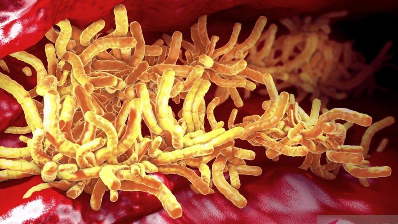 Kementerian Kesehatan menyerukan penghentian stigma negatif terhadap pasien Tuberkulosis (TB) karena menghambat penanganan yang efektif, menekankan pentingnya deteksi dini, pengobatan lengkap, dan kolaborasi lintas sektor.