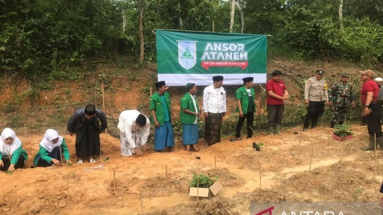 GP Ansor Kabupaten Bangkalan mendukung program pemerintah dalam upaya swasembada pangan lewat inisiatif Ansor Ataneh, yang melibatkan para santri dan petani lokal, kendati menghadapi tantangan pembiayaan dan pengetahuan pertanian.