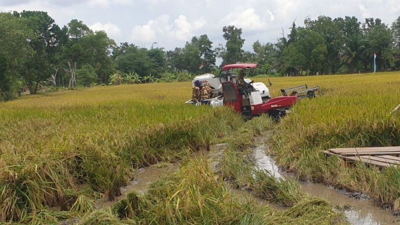 Sumsel Targetkan Produksi Beras 3 Juta Ton di 2025