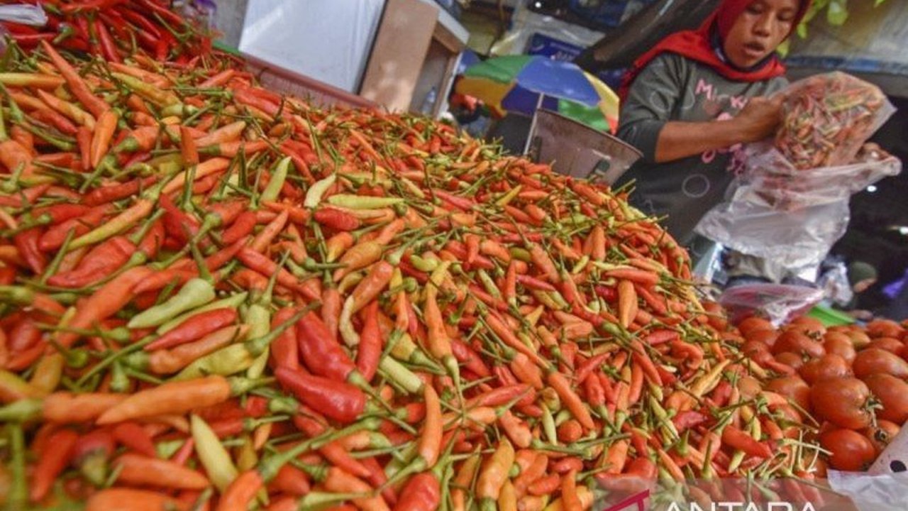 Harga cabai di Nusa Tenggara Barat (NTB) diprediksi akan kembali stabil selama Ramadhan berkat panen raya yang segera tiba setelah sebelumnya sempat melambung tinggi akibat cuaca ekstrem.