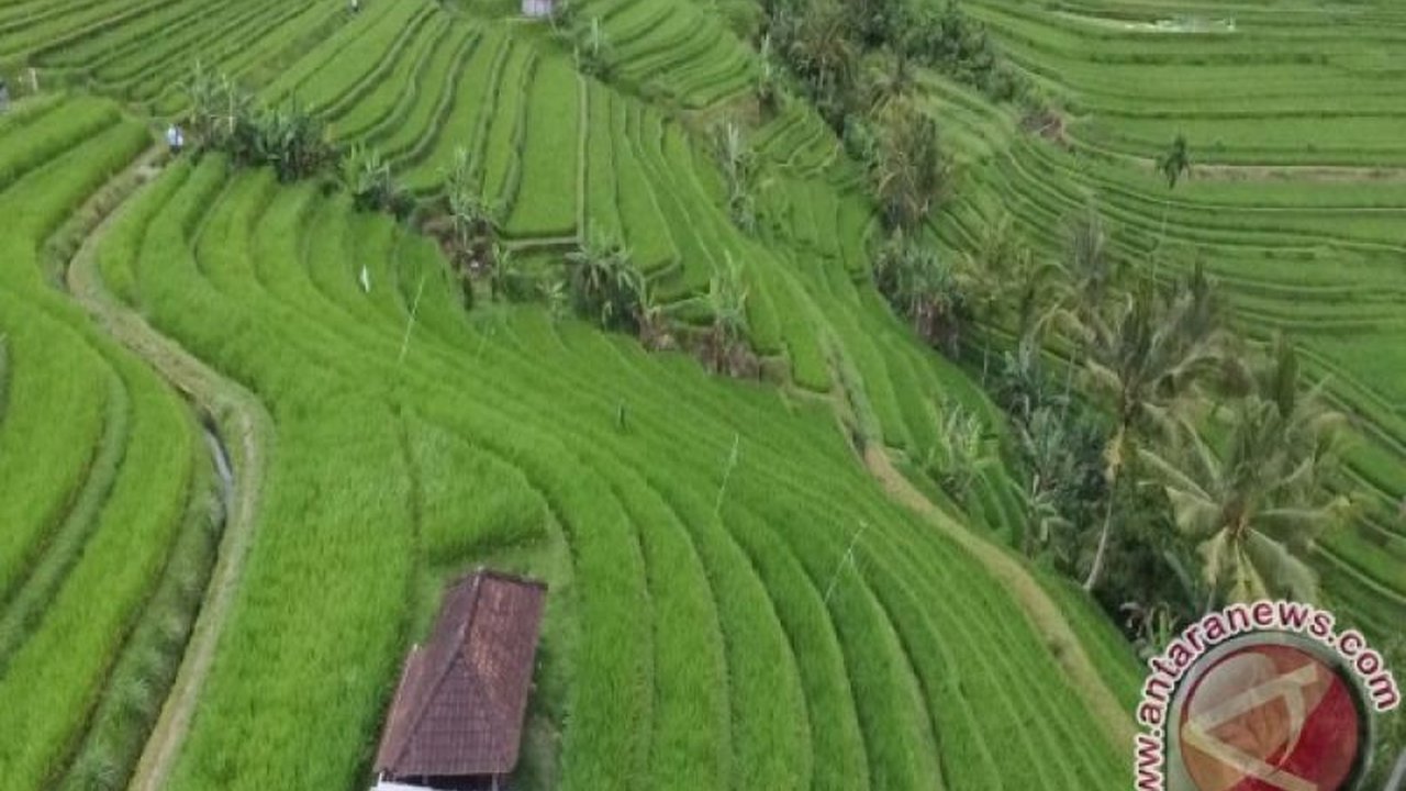 Pemerintah Bali menargetkan kedatangan 6,5 juta wisatawan mancanegara pada tahun 2025, meningkat dari sekitar 6,3 juta pada tahun 2024, dengan fokus pada pengelolaan masalah seperti kemacetan, sampah, dan alih fungsi lahan.