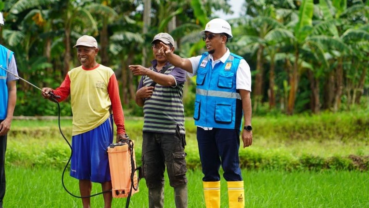 PLN Sulselrabar Dorong Electrifying Agriculture (EA) untuk Ketahanan Pangan