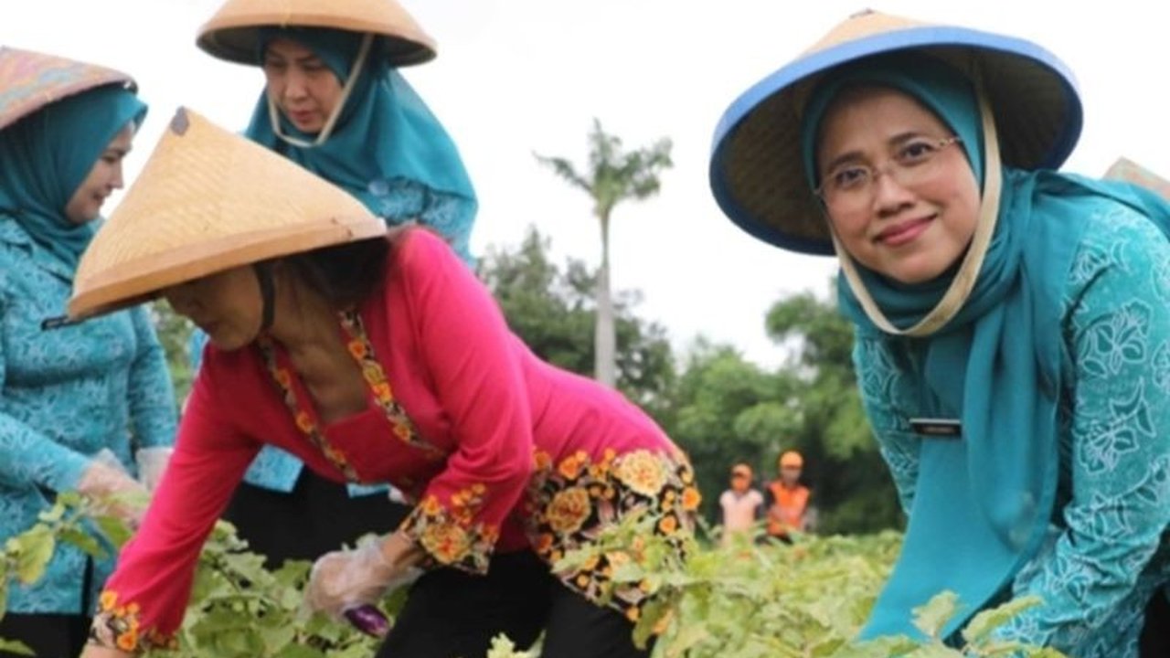 Jakarta Barat menyiapkan 72 lokasi untuk kegiatan penanaman serentak se-DKI Jakarta tahun 2025, guna mendukung ketahanan pangan dan menekan inflasi, melibatkan TP PKK dan Dinas KPKP DKI Jakarta.