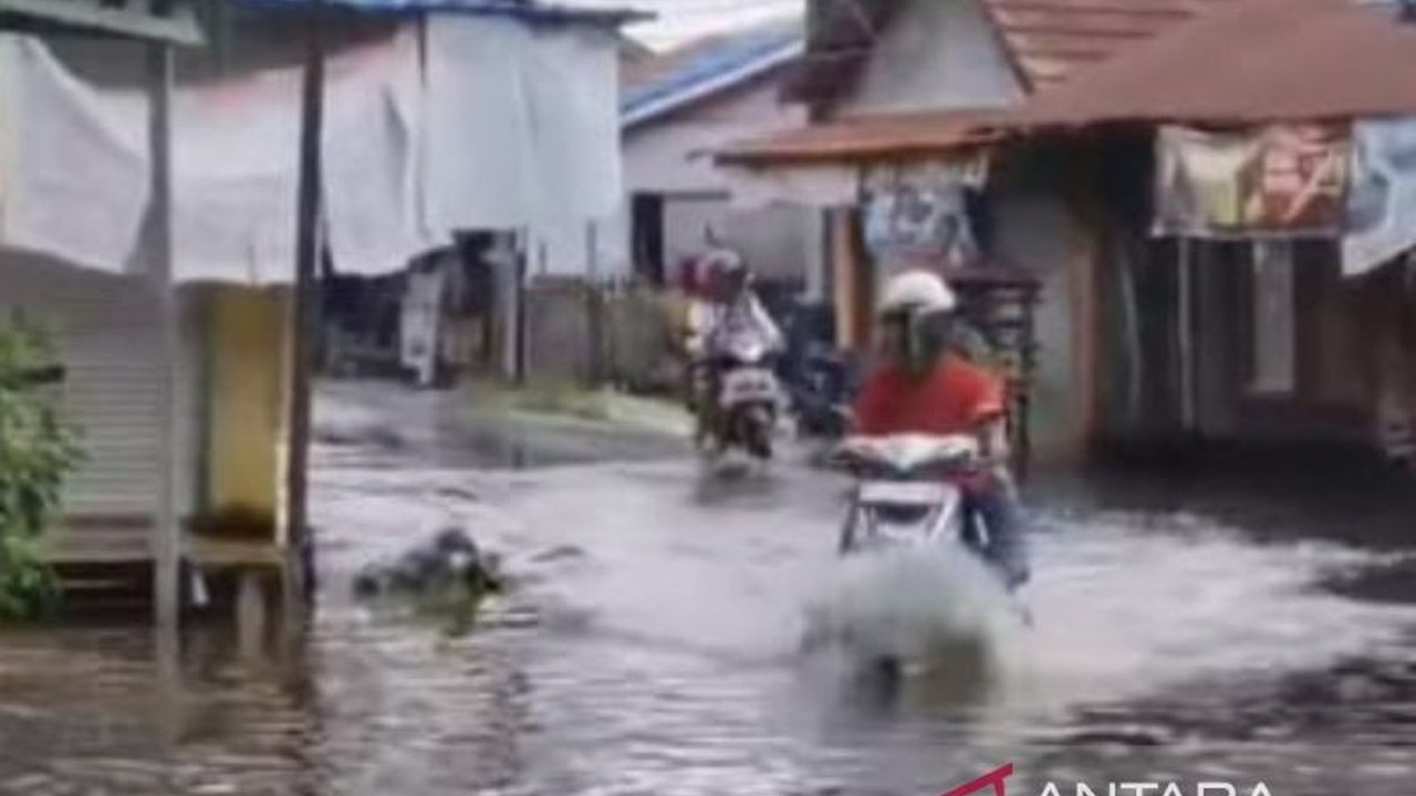 Hujan deras dan air pasang menyebabkan banjir parah di Banjarmasin Selatan dan Timur pada Selasa, 21 Januari,  mengakibatkan evakuasi warga dan sekolah terendam;  BPBD Banjarmasin menyelidiki penyebabnya dan menggandeng ahli untuk mencari solusi.