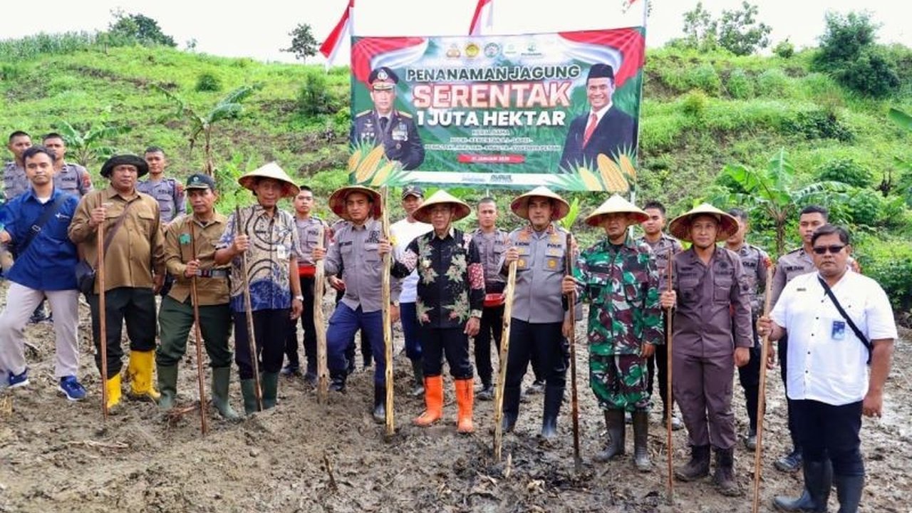 Kabupaten Kudus, Jawa Tengah, targetkan perluasan lahan jagung 34,5 hektare di dua desa, Jekulo, sebagai upaya mendukung program swasembada pangan nasional.