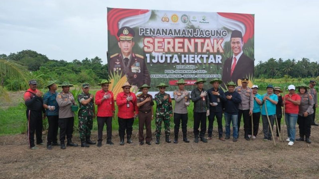 TNI-Polri dan Pemkab Tabanan Tanam Jagung: Wujudkan Ketahanan Pangan Nasional