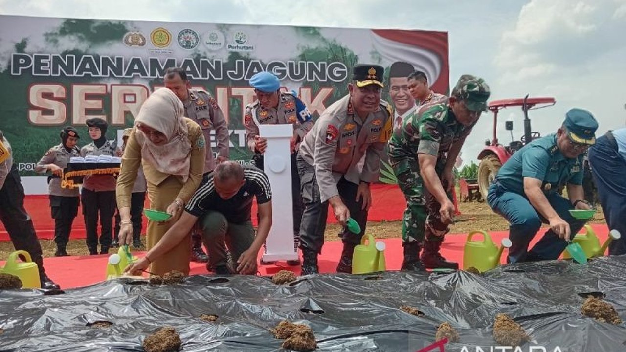 Polda Sumatera Utara menanam jagung di lahan seluas 327 hektare sebagai upaya mendukung ketahanan pangan nasional, berkolaborasi dengan berbagai pihak dan menargetkan hasil panen untuk kebutuhan lokal dan penguatan agribisnis.