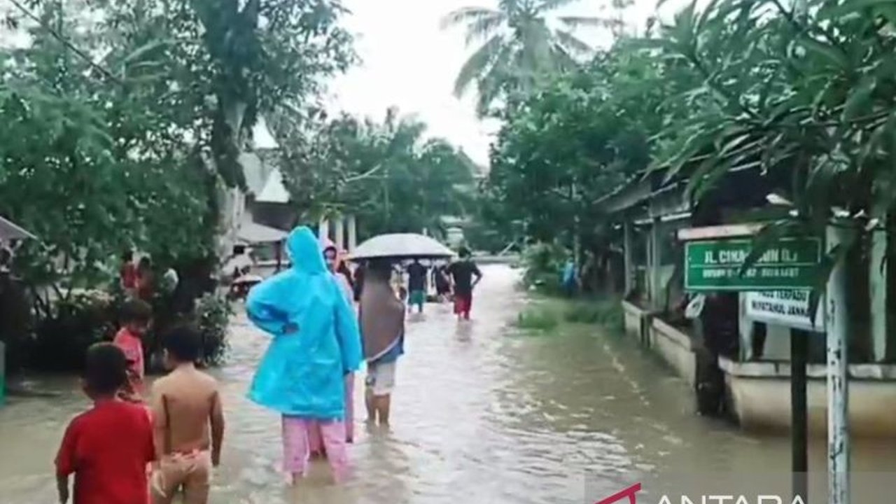 Waspada Buaya dan Ular! Banjir di Bangka Barat Ancam Warga