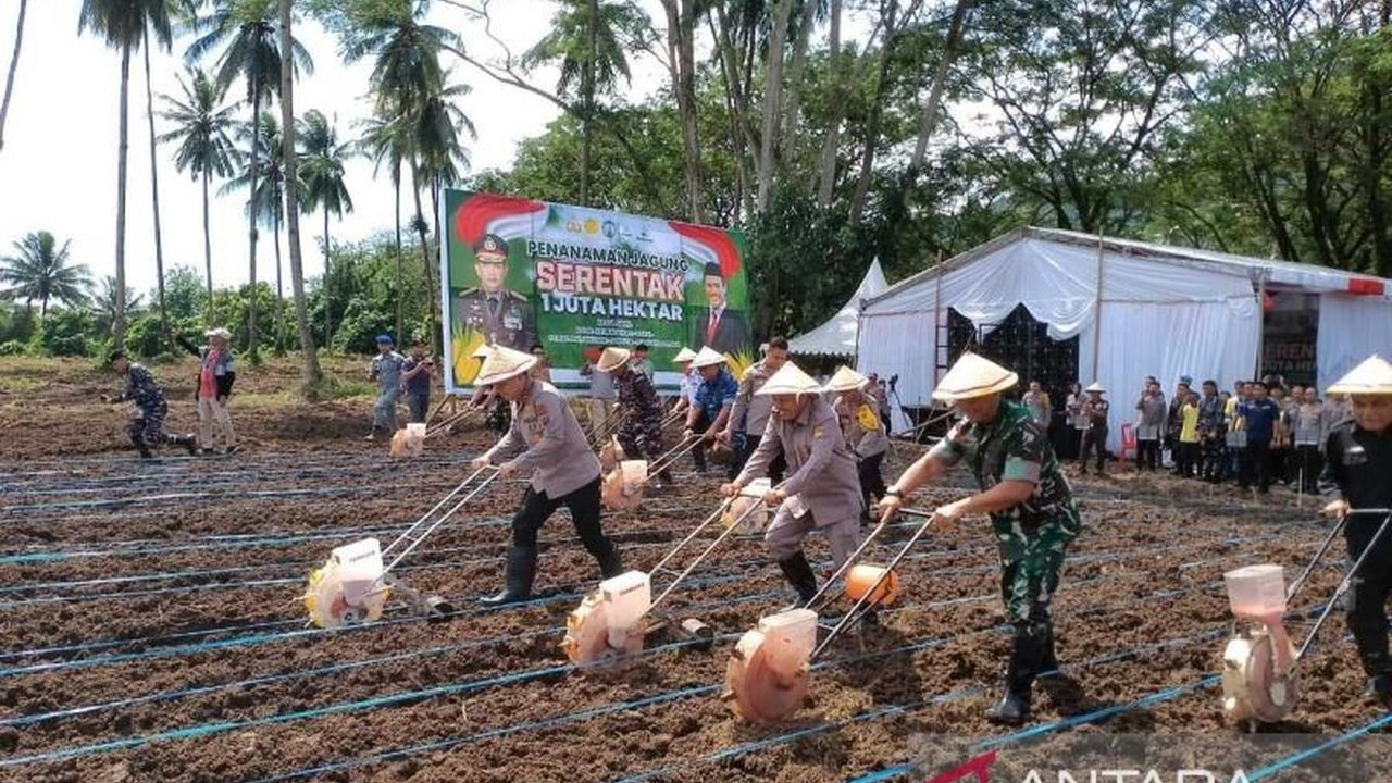 Polda Sulawesi Utara bersama jajarannya menanam jagung di lahan seluas 105,7 hektar untuk mendukung ketahanan pangan nasional, mendapat dukungan dari kelompok tani dan bantuan 11 traktor dari Kementerian Pertanian.