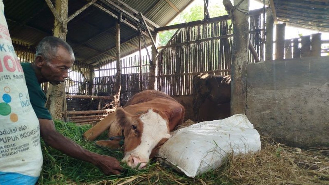 Pemerintah Kabupaten Ponorogo memperpanjang penutupan Pasar Hewan Jetis hingga batas waktu belum ditentukan untuk mencegah penyebaran Penyakit Mulut dan Kuku (PMK) yang masih merebak.