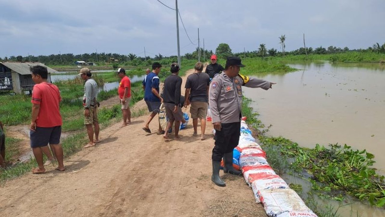 Kepolisian dan warga Lampung Selatan bahu-membahu menutup tanggul jebol di Sungai Way Sekampung akibat curah hujan tinggi yang menyebabkan debit air meningkat dan berpotensi membanjiri pemukiman warga.
