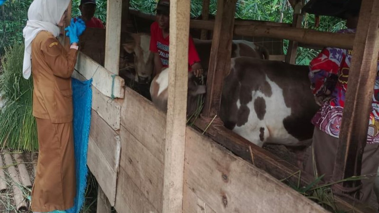 Kabupaten Tasikmalaya Bentuk Unit Reaksi Cepat Atasi Wabah PMK