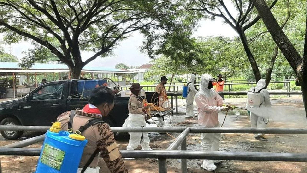 BPBD Jatim dan Pramuka Jawa Timur berkolaborasi melakukan penyemprotan di Pasar Hewan Balongpanggang, Gresik, untuk mencegah penyebaran PMK,  mendukung upaya pemerintah pusat yang menyediakan 4 juta vaksin PMK gratis.