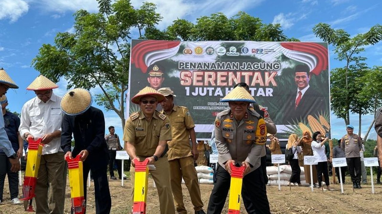 Kepolisian Daerah Sulawesi Tengah (Polda Sulteng) memulai program penanaman jagung di lahan seluas 1.790 hektare sebagai bagian dari upaya percepatan swasembada pangan nasional, dengan target total 55.628 hektare di Sulteng.